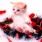 youka